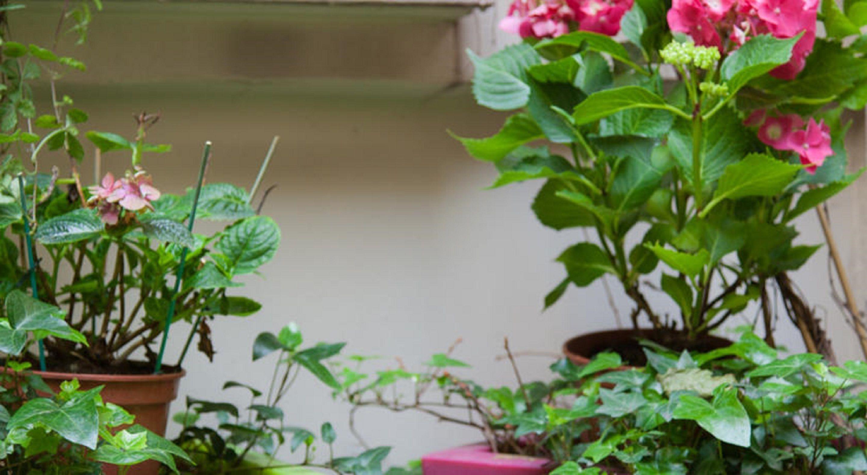 Hotel Marais De Launay 3*